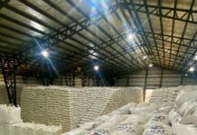 DA optimistic as palay output surges in Q3