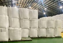 Palay prices rise in October amid import ban