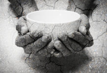 World Food Day: The feast, the famine, and the fix