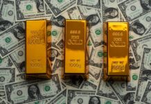 Foreign currency reserves hold firm at $104.8 billion in August
