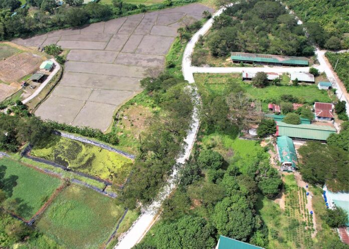 farm to market road dpwh