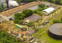 Sarangani Energy fee lifts Alsons earnings