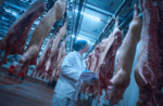 Belgium highlights rising PH demand for quality pork