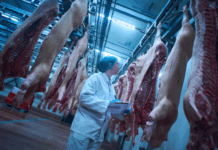 Belgium highlights rising PH demand for quality pork