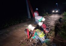 4M power connections restored after typhoons