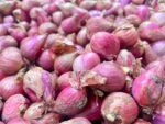 Import lag spurs probe into rising red onion prices