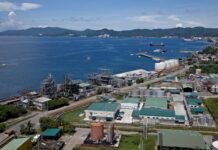 Gov’t reviews plan to sell state-owned coconut chemicals plant