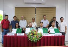 Growth without brakes: Toyota Motor reforests mangrove site