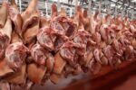Belgian pork offers stability amid ASF pressures