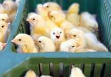 Vitarich clinches P400M Ondoy settlement