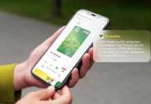 PalawanPay brings Visa power to unbanked Filipinos