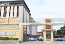 Deep planting method lifts sugarcane yield in PH trials Sugar Regulatory Administration SRA