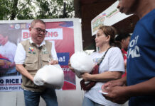 Rice prices seen stable as import controls lapse; DA rolls out farm road tracker