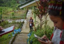 Stronger connectivity seen as vital for work, learning in remote areas