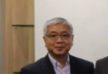 Passenger car saws stall in 2025, trucks power ahead