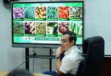 DA widens P20 rice push in Manila, expands KADIWA