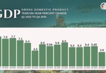 Philippine GDP growth slows, services carry economy