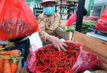 DA bets on more sili to cool price spikes