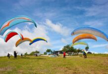 Tourism stays afloat amid global crosswinds