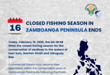 BFAR pushes strict enforcement to save fisheries sector