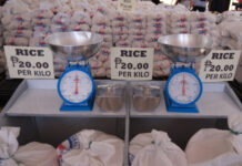 Mindoro farm programs balance farmer pay and consumer prices