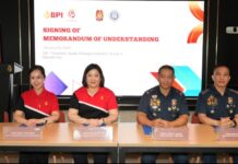 Partnership steps up fight vs online financial scams