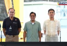 Aboitiz pushes deeper energy privatization drive