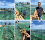 Japan invests in BARMM’s aquaculture future