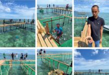 Japan invests in BARMM’s aquaculture future