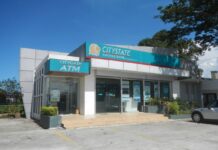 Dominic Edgard Cabangon steps down as Citystate Savings chairman: new director named