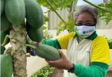 Searca and TFNet launch collaborative growth program