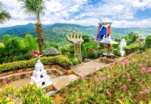 Roads, recipes and rural riches: farm tourism gets a lift