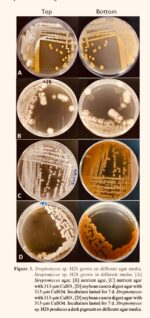 Meycauayan River microbes ‘eat’ plastic, may hold cancer cure Meycauayan River microbes ‘eat’ plastic, may hold cancer cure