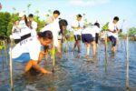 Tons of trash gone, mangroves planted in marine pollution cleanup drive Tons of trash gone, mangroves planted in marine pollution cleanup drive