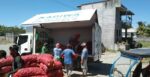 DA steps up onion purchases in Mindoro to shield farmers and consumers against price swings DA steps up onion purchases in Mindoro to shield farmers and consumers against price swings