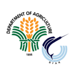 Tamban oversupply in Sorsogon resolved after Holy Week plant closures Tamban oversupply in Sorsogon resolved after Holy Week plant closures