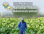 NTA aasures purchase of all tobacco leaf harvests despite oversupply NTA aasures purchase of all tobacco leaf harvests despite oversupply