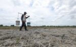 DA reforms El Niño Task Force amid threat of prolonged dry spell DA reforms El Niño Task Force amid threat of prolonged dry spell