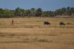 DA braces farmers, consumers ahead of strong El Niño DA braces farmers, consumers ahead of strong El Niño