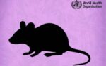 Filipino crew safe amid deadly hantavirus scare Filipino crew safe amid deadly hantavirus scare