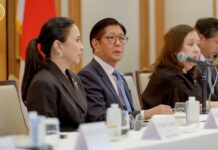 Marcos secures $3.4B Japanese investment boost