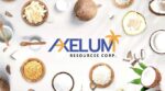 Axelum earnings surge despite global market pressures Axelum earnings surge despite global market pressures
