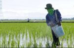 FPA sanctions fertilizer firms for rule breaches FPA sanctions fertilizer firms for rule breaches