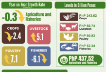 Farm output value slips 0.3% in Q1 as rice weakens