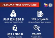 PEZA investments nearly double on export boom