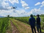SRA uses drones vs sugarcane pests in Visayas SRA uses drones vs sugarcane pests in Visayas