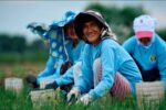 BPI BanKo, Jollibee Group Foundation step up support for onion farmers BPI BanKo, Jollibee Group Foundation step up support for onion farmers