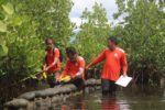 DENR targets planting 3 million trees for Philippine Arbor Day DENR targets planting 3 million trees for Philippine Arbor Day