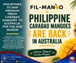Australia return boosts Philippine mango export drive Australia return boosts Philippine mango export drive