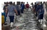 BFAR scales up climate-smart, energy-efficient projects to boost fisheries sustainability BFAR scales up climate-smart, energy-efficient projects to boost fisheries sustainability